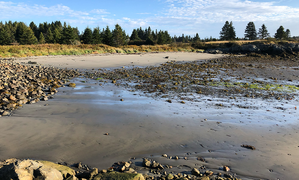 Baileys Inset img 6453 1000x605