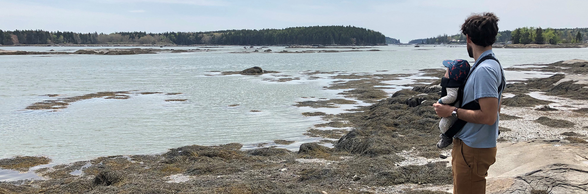 Bamford Header Img 3 2000x660