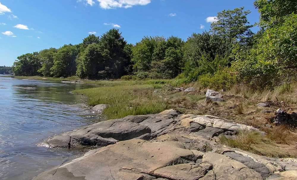 Bamford Inset img 03153 1000x605