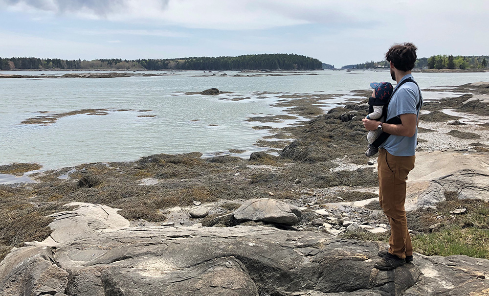 Bamford Inset img Bamford3 1000x605