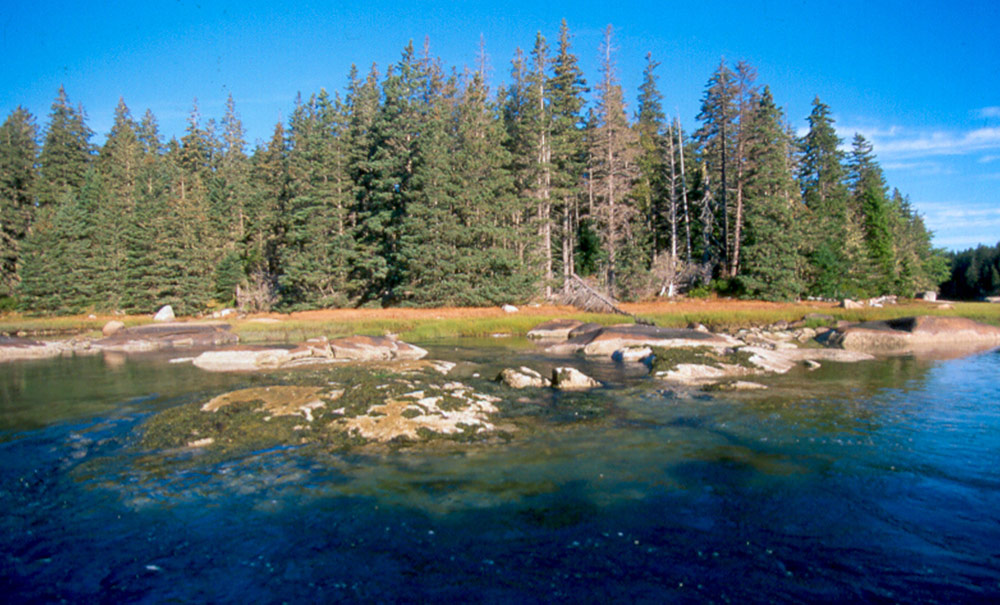 Basin Preserve Inset img Vinalhaven 1000x605