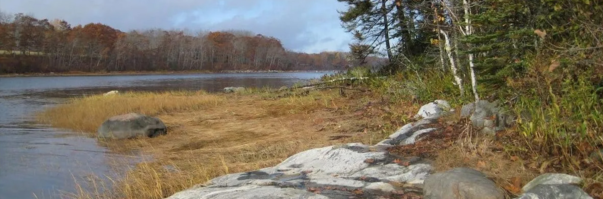 Battle Header Img 2000x660