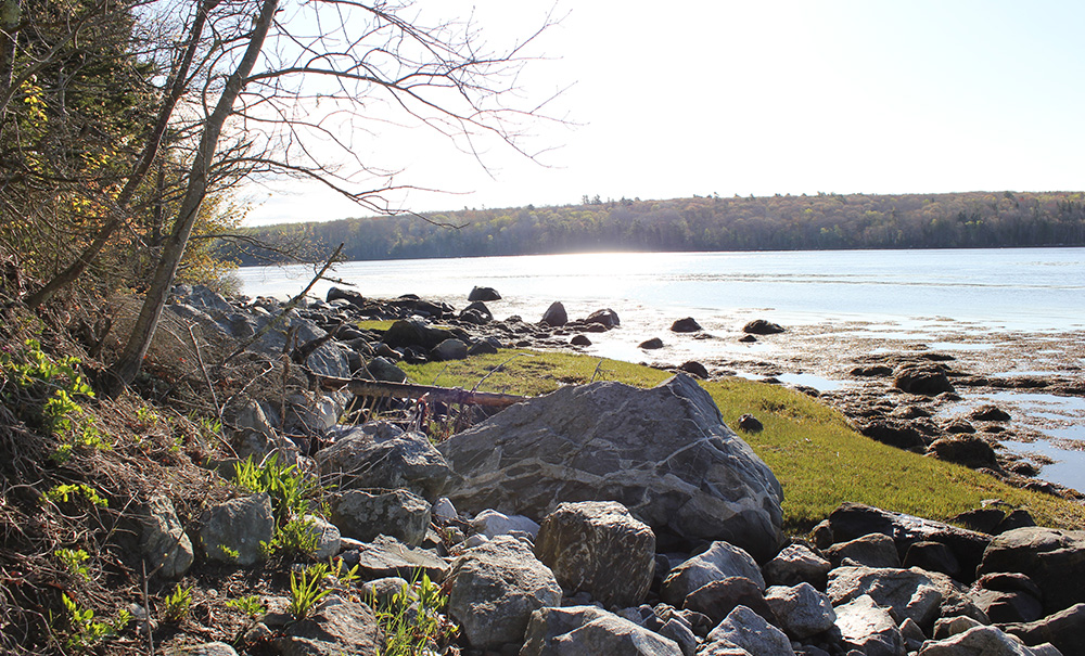 Battle Inset img 027 1000x605