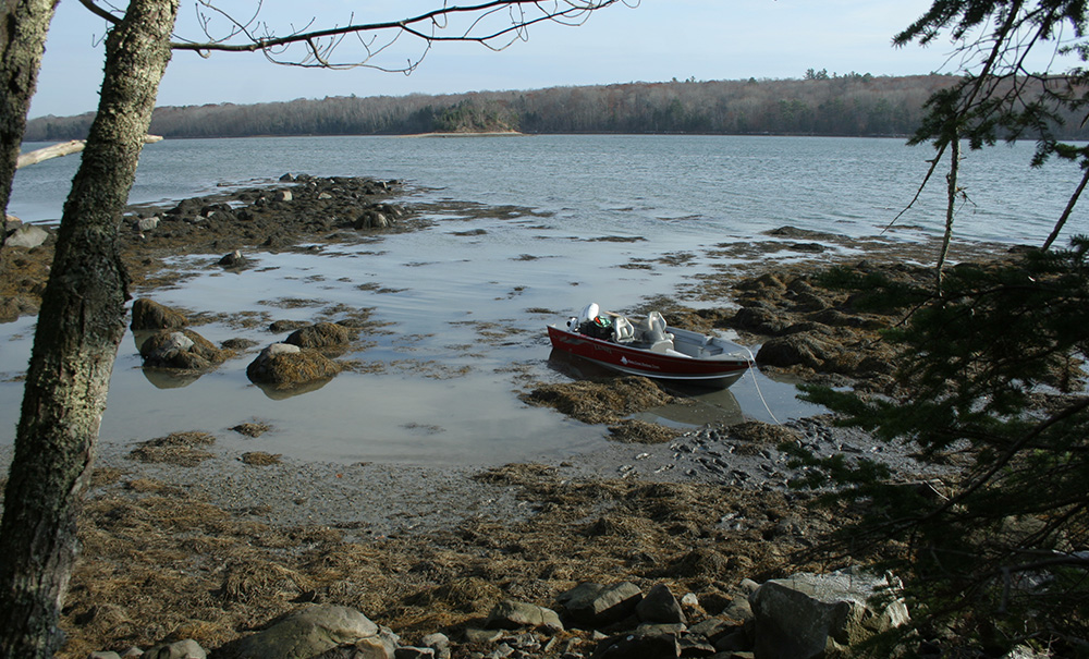 Battle Inset img 070 1000x605