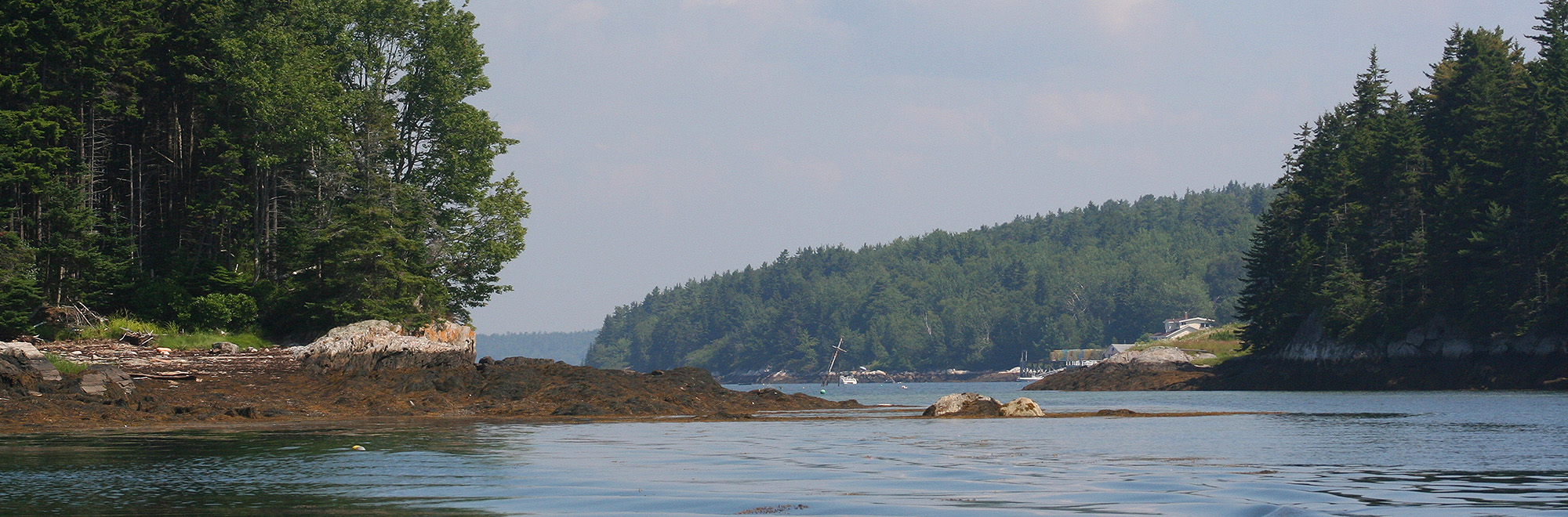 Bear Island Header Img 8769 2000x660