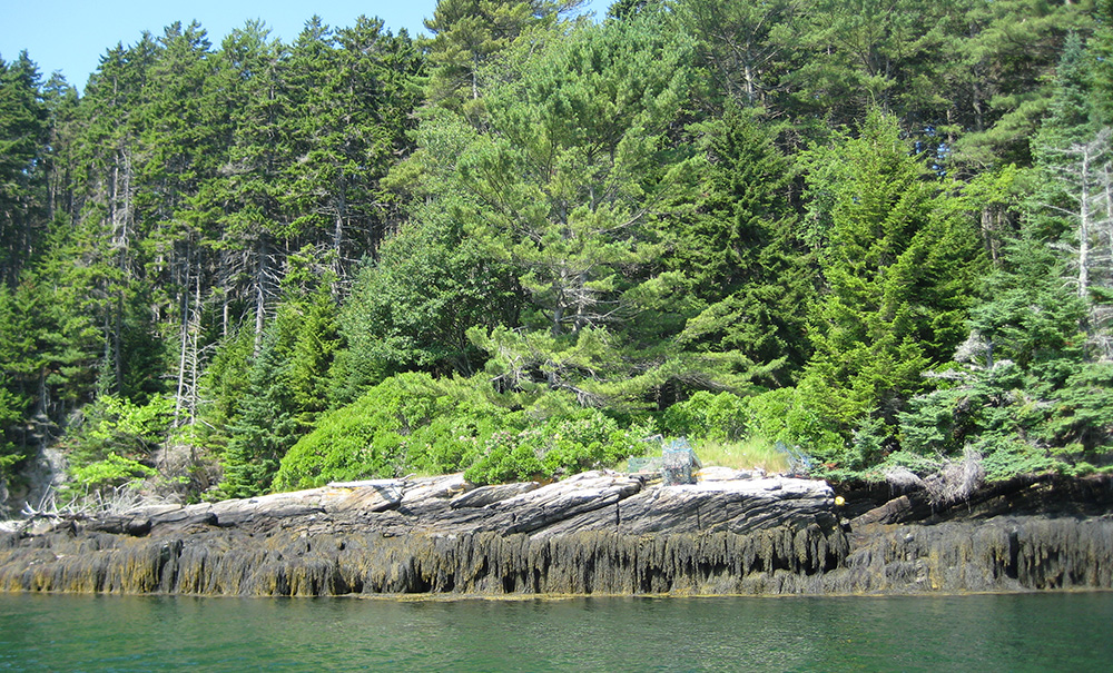 Bear Island Inset img 1317 1000x605