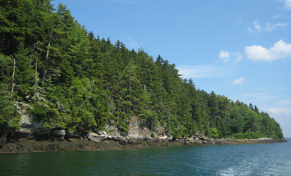Bear Island Inset img 1322 1000x605