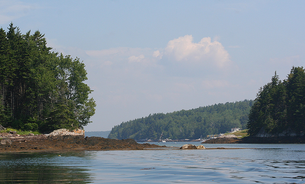 Bear Island Inset img 8769 1000x605
