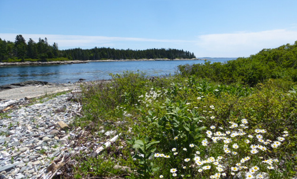 Black Island Inset img Northernbeach 1000x605