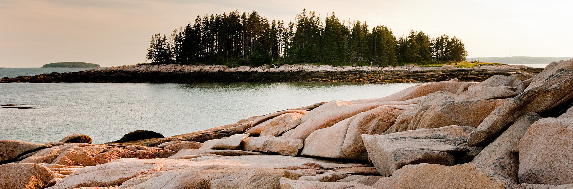 BlackIsland Little Black Header Img 028 2000x660