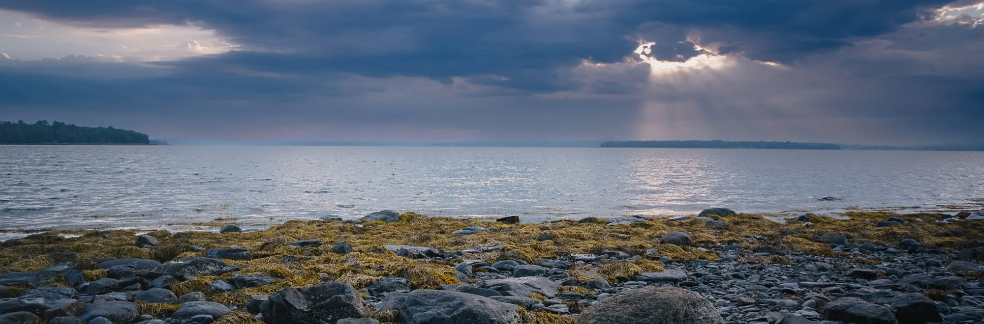 Blue Horizons Header Img 2000x660