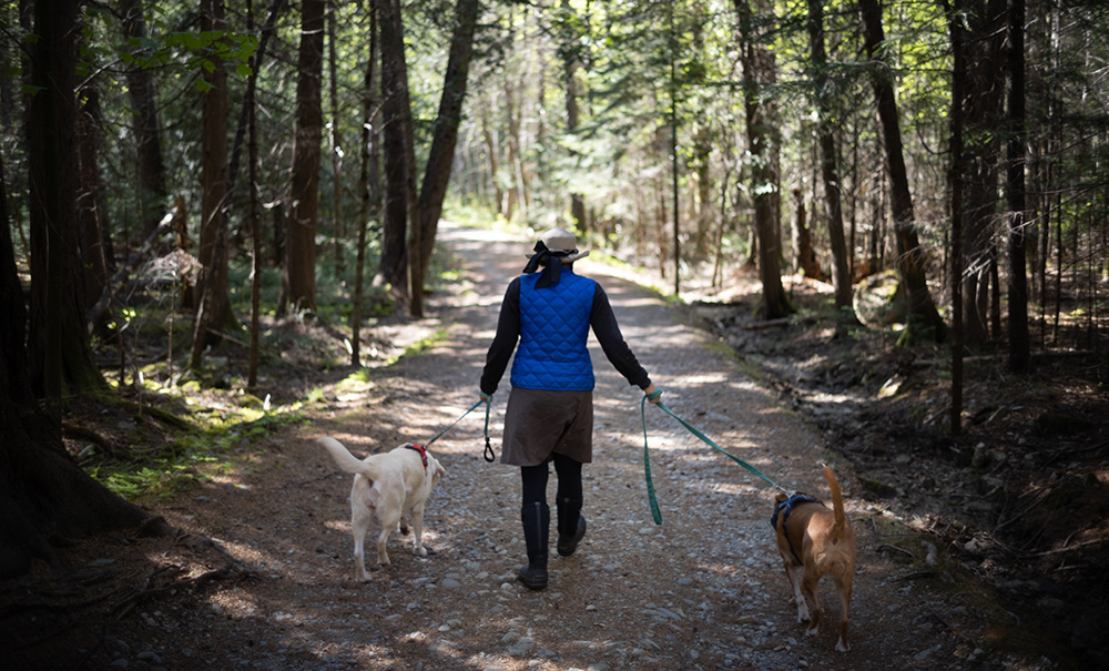 Blue Horizons Inset img 024 1000x605
