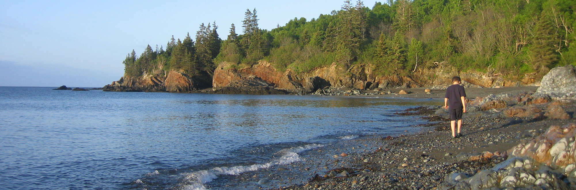 Bog Brook Cove Header Img Template 2000x660