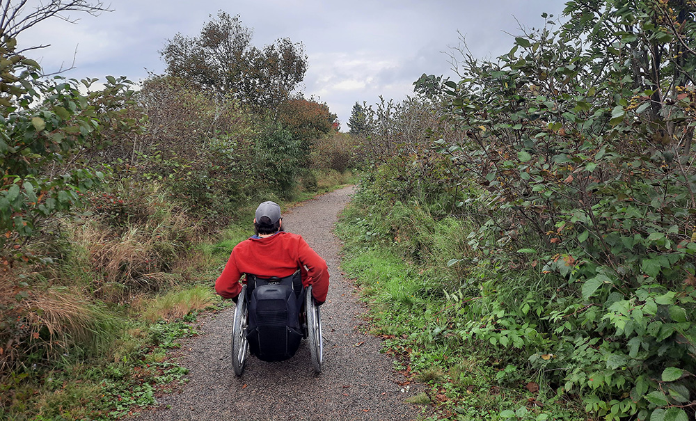 Bog Brook Cove Inset img 140636 1000x605