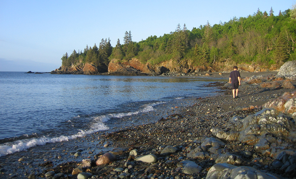 Bog Brook Cove Inset img Bog Brook Cove 1000x605