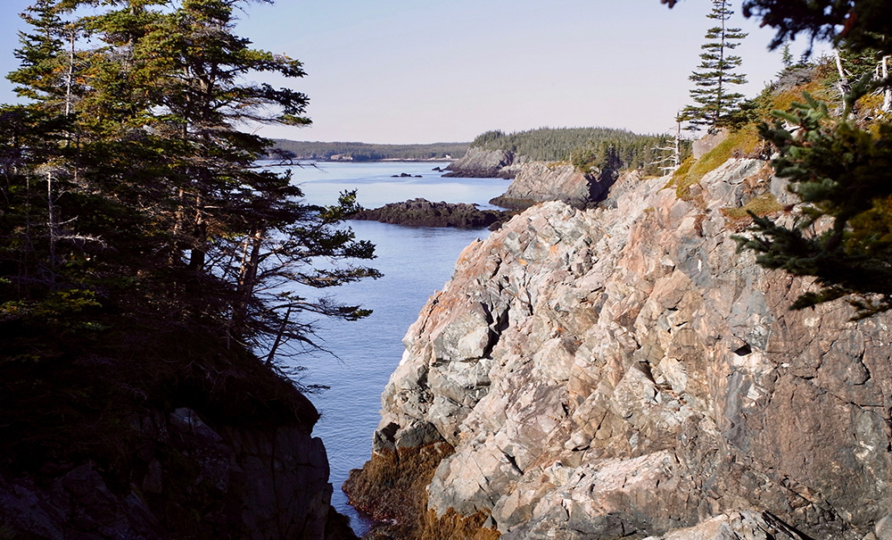 Boot Head Inset img R1044298 1000x605