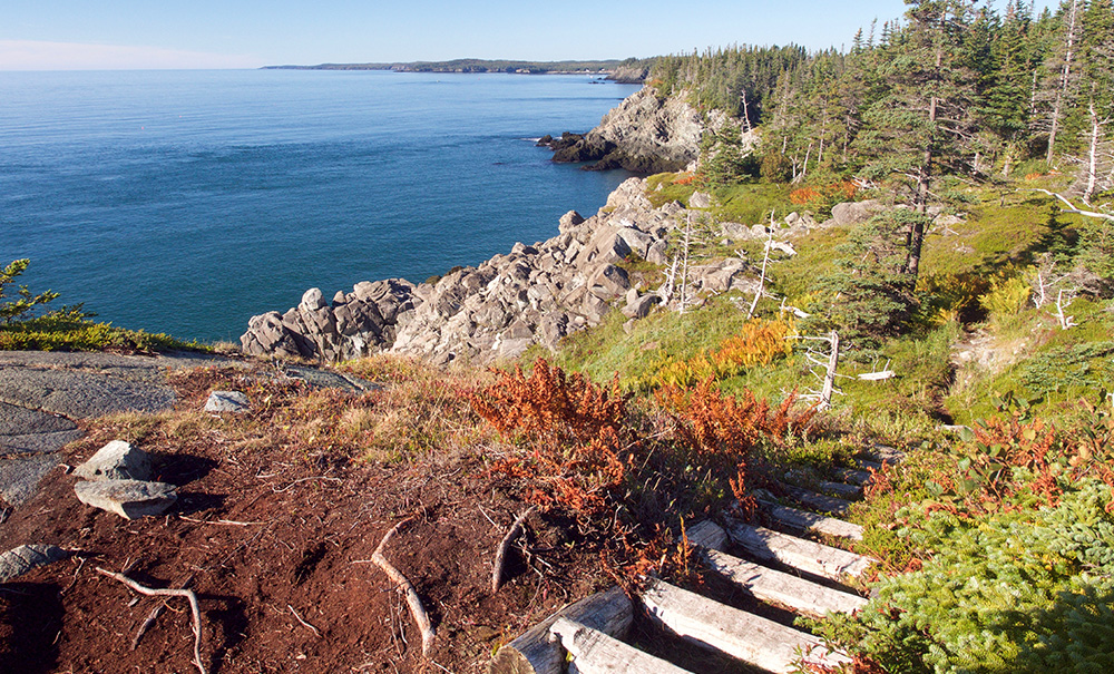 Boot Head Inset img V 1000x605