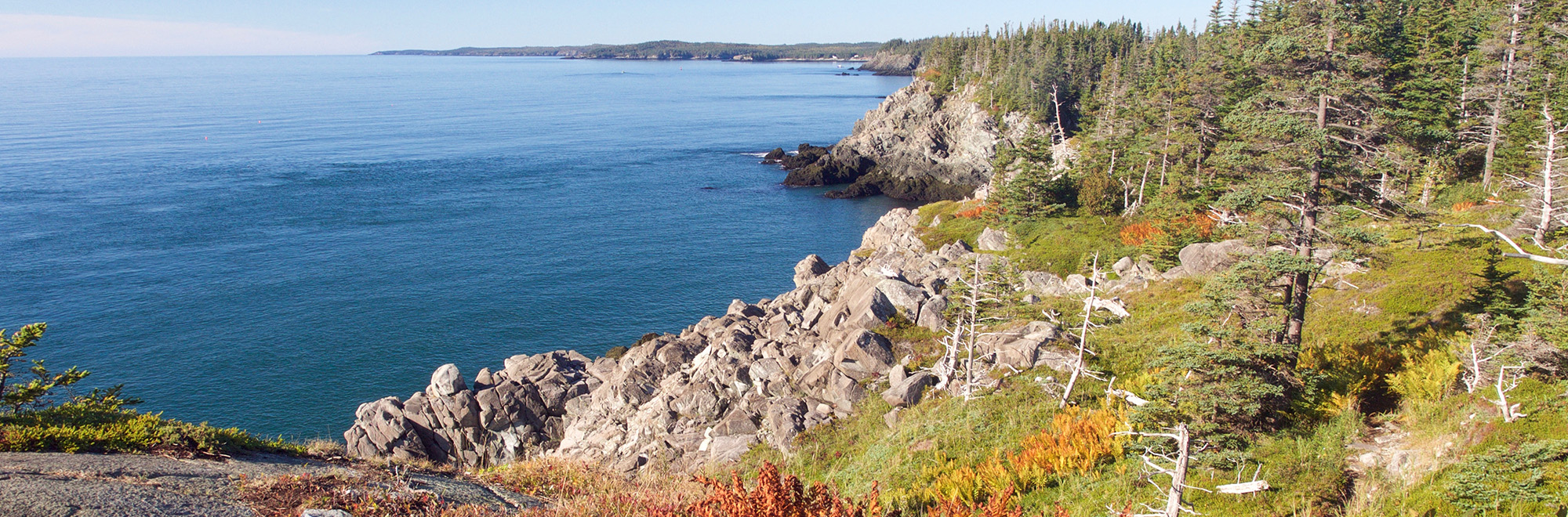 Boot Header Img PAO50043 2000x660