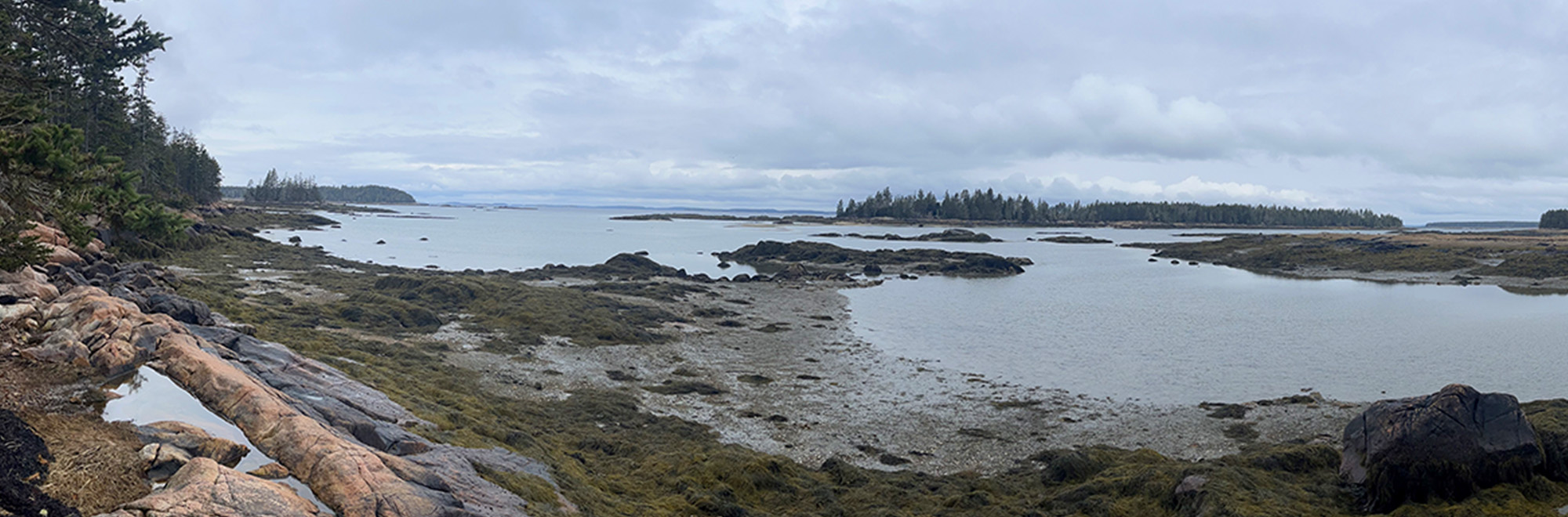 Buckle Island Header Img Template 2000x660