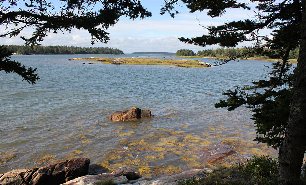 Buckle Island Inset img IMG 1027 1000x605
