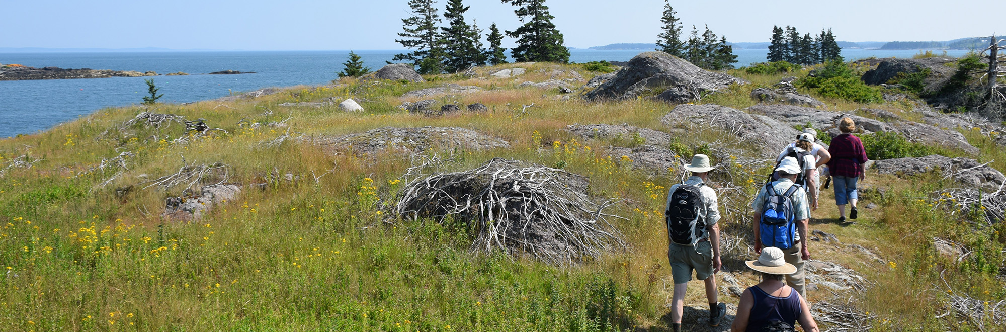 Calderwood Header Img 0122 2000x660