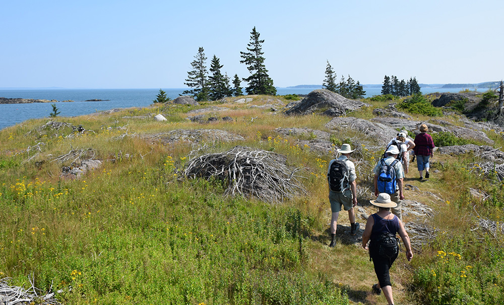 Calderwood Inset img 0122 1000x605