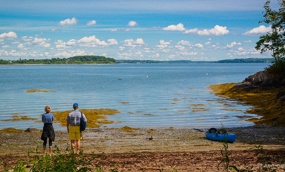 Clapboard Inset img Bagels on the Beach1 1000x605
