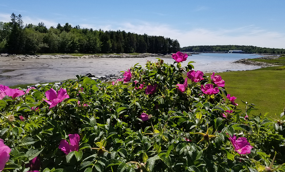 Clark Island Inset img 144544 1000x605