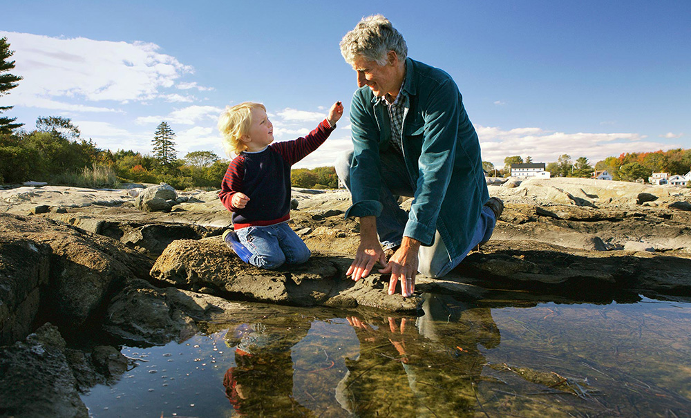 Clark Island Inset img 2 2000w 1000x605