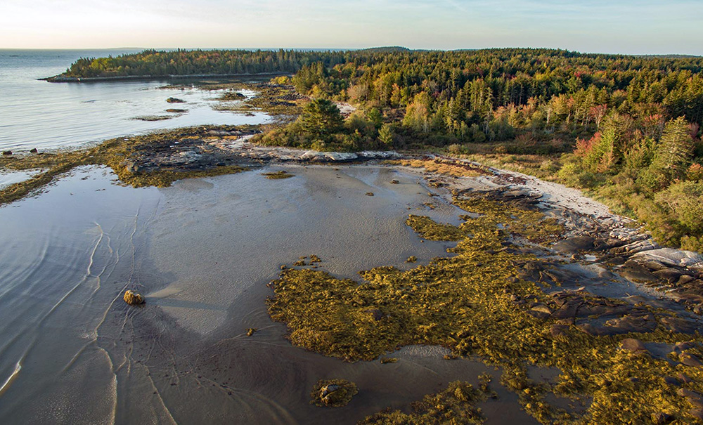Clark Island Inset img 3375w 1000x605