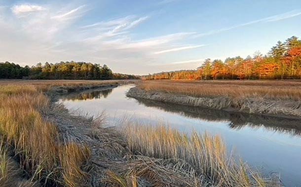 Climate Cousins River Photo David next wave 610x380