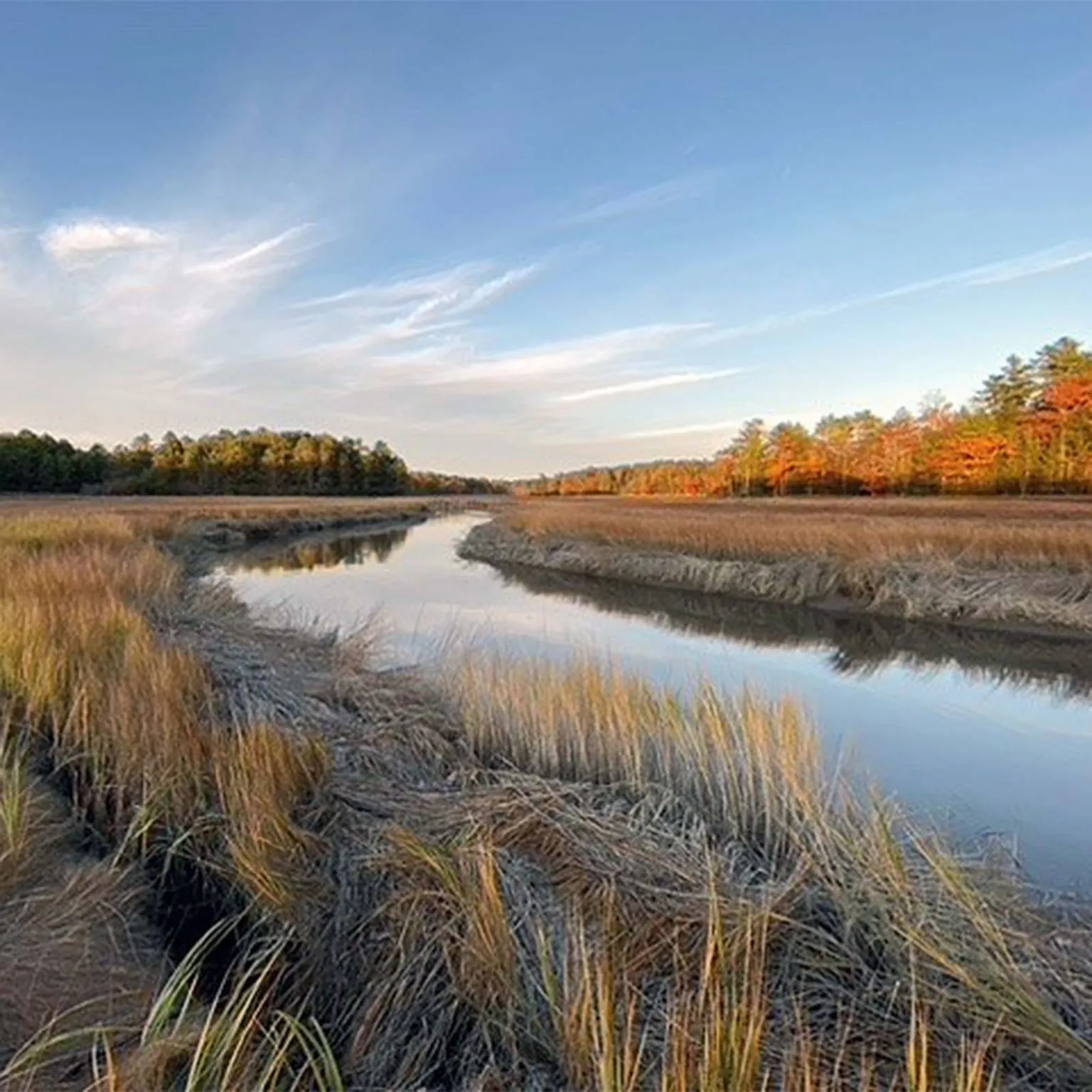Climate Cousins River Photo David square 1536x1536