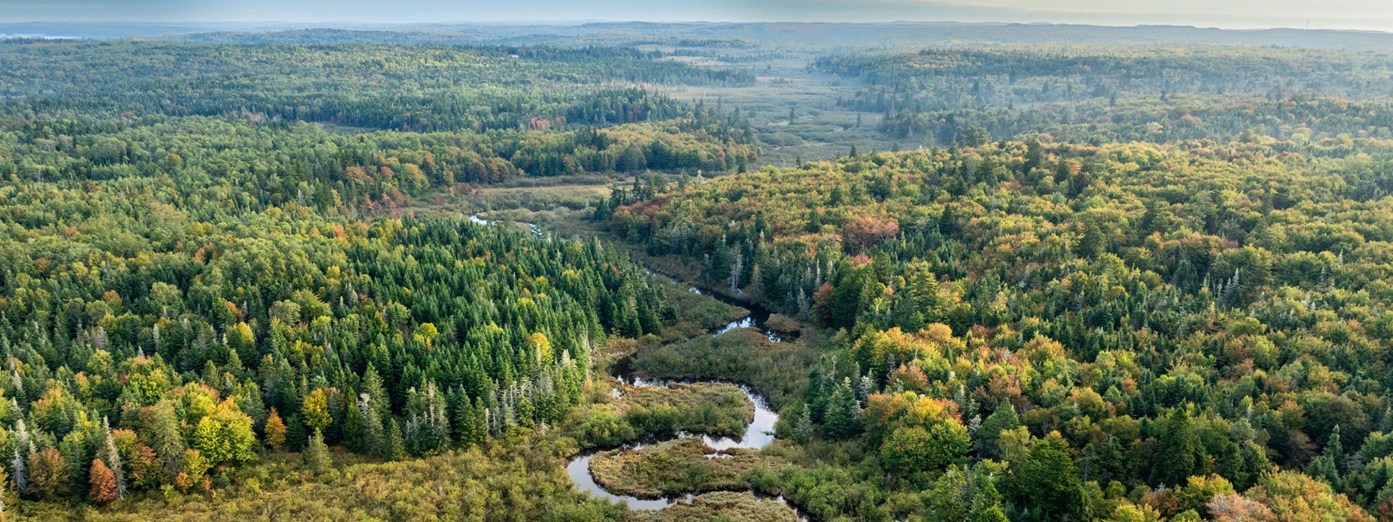 Conservation Desktop Header 2000x750