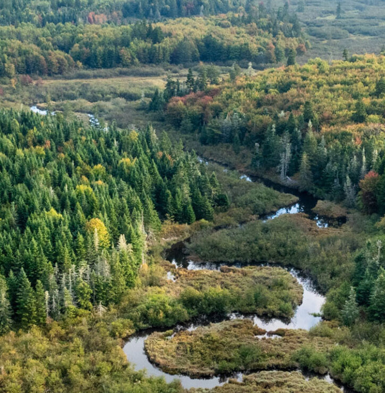 Conservation Work Babson Mobile 785x800