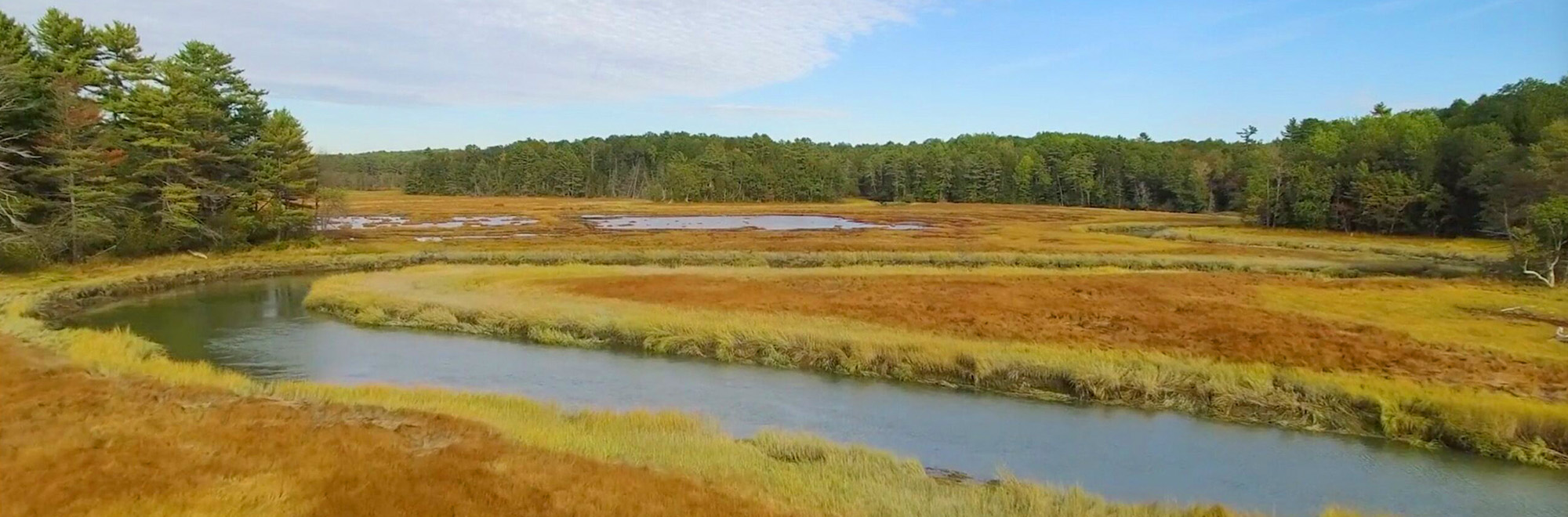 Cousins River Header Img 2000x660