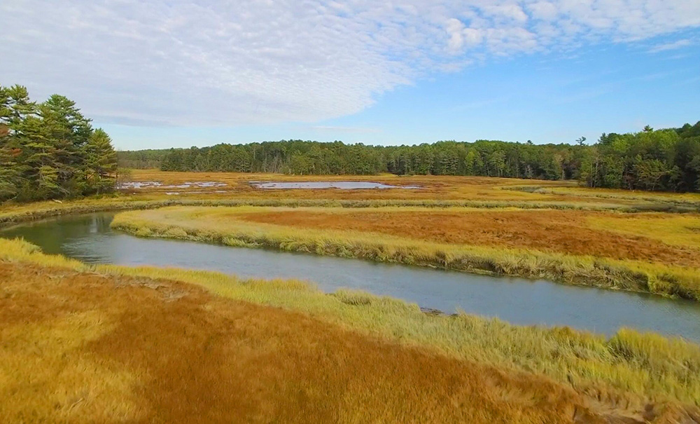 Cousins River Inset img 1000x605