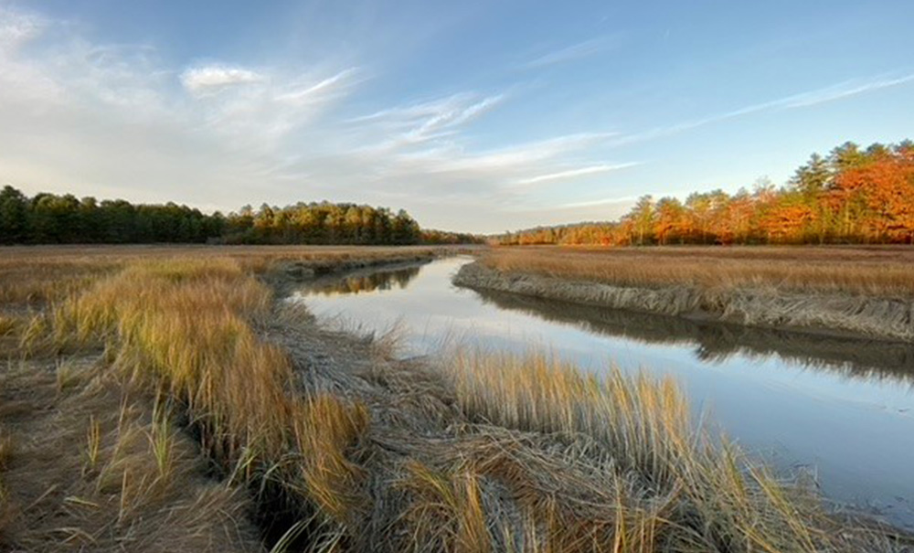 Cousins River Inset img photo David 1000x605