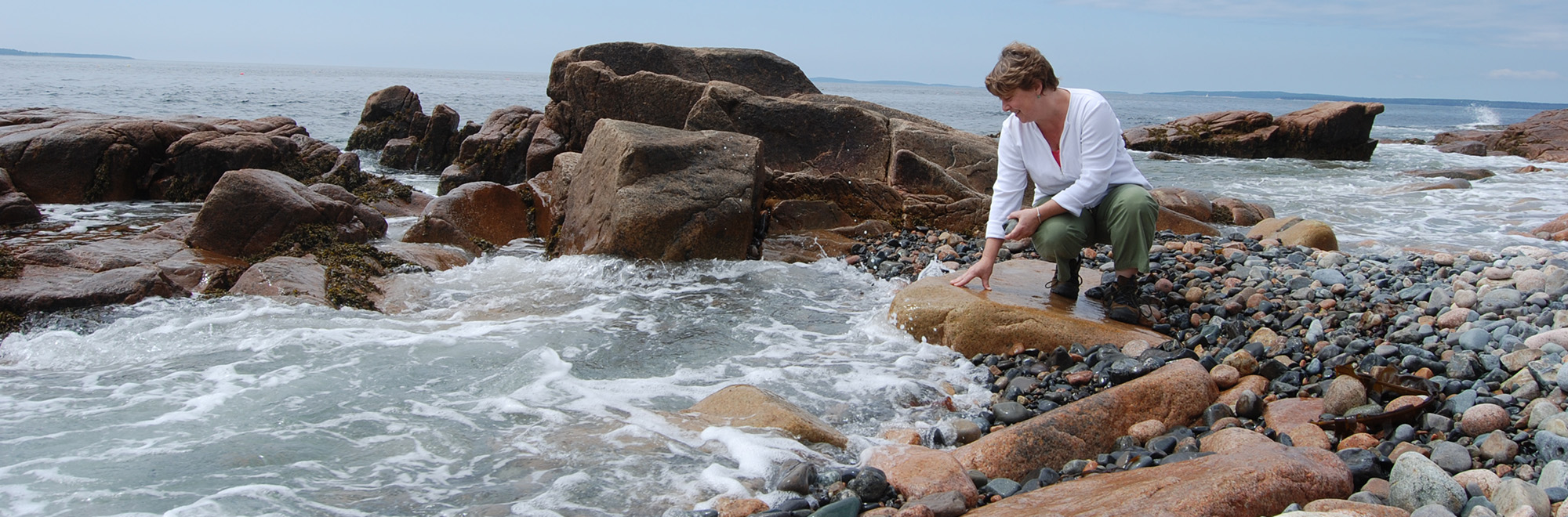 Cranberry Header Img 0019 2000x660