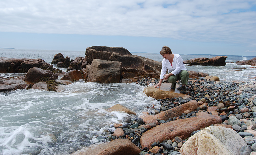 Cranberry Inset img 0019 1000x605