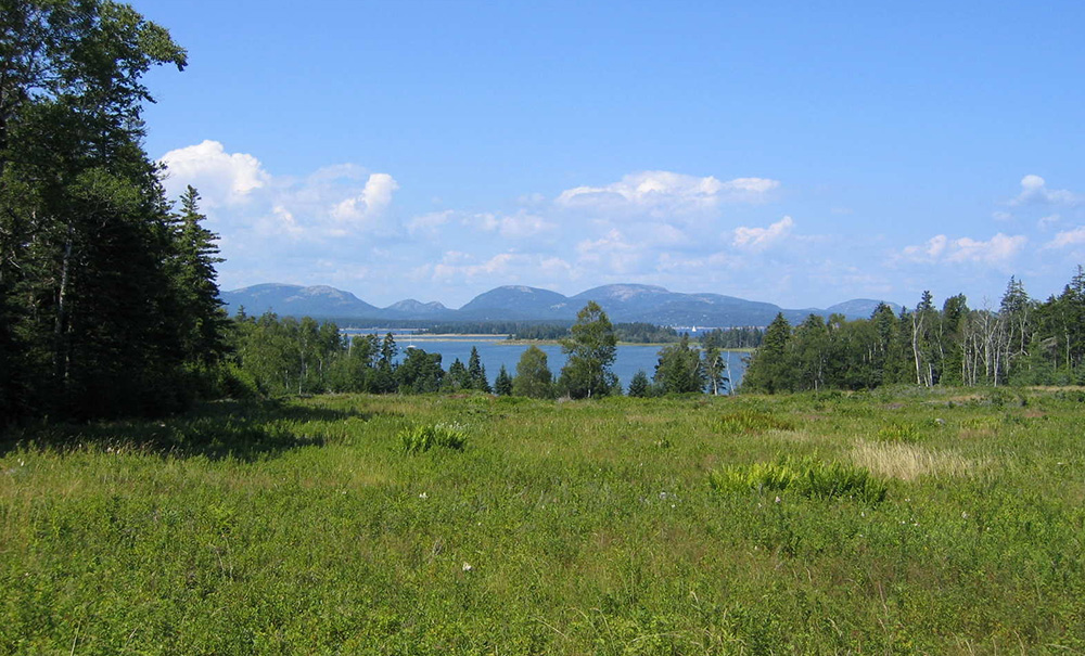 Cranberry Inset img northernview 1000x605