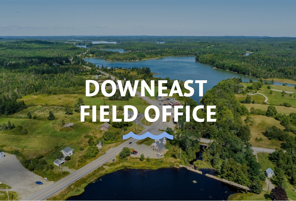 Downeast Location 480x325