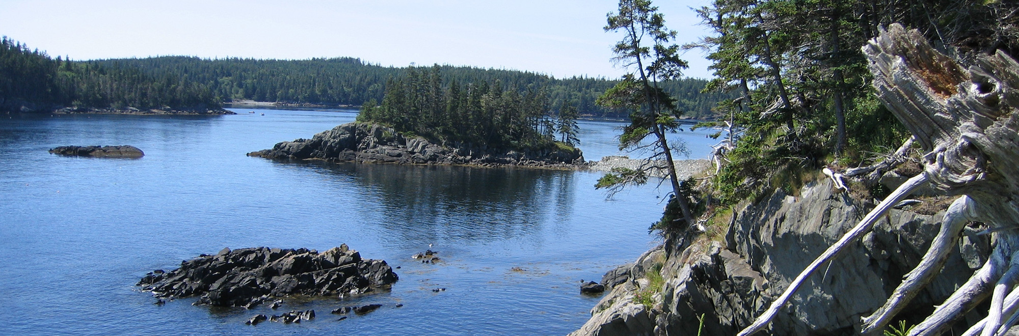 Eastern Knubble Header Img 0013 2000x660