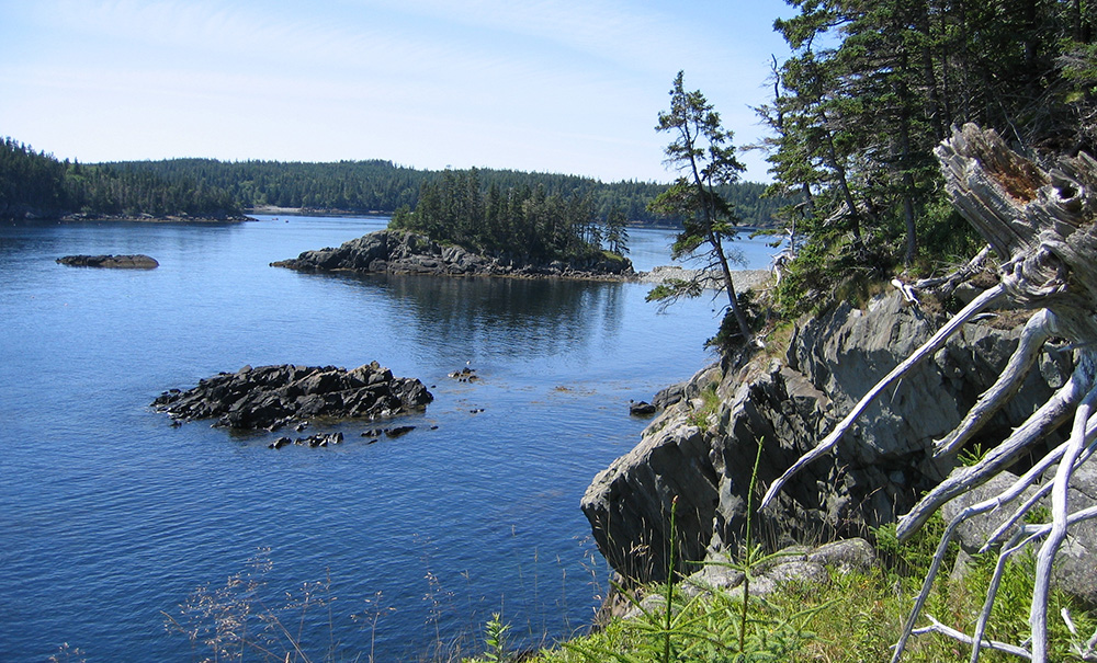 Eastern Knubble Inset img 0013 1000x605