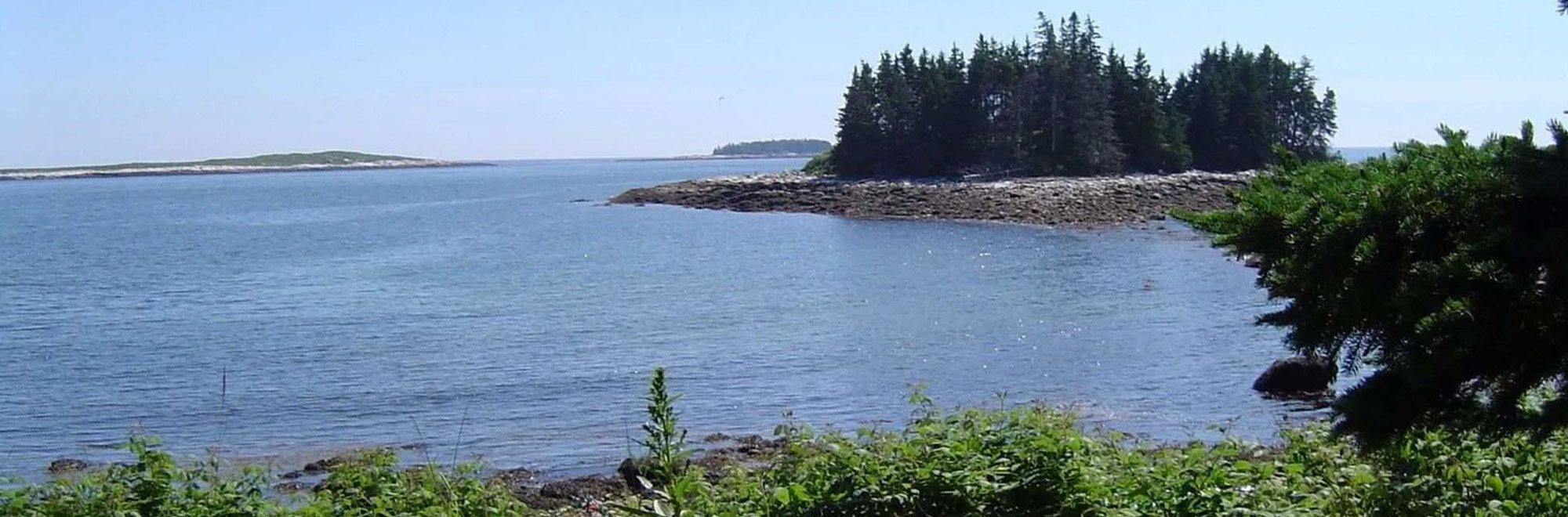 Elizabeth Noyce Header Img 1557154674246 2000x660