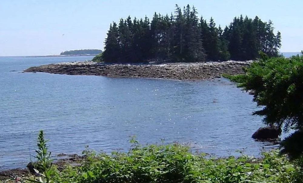 Elizabeth Noyce thumb Img 1557154674246 2000x660