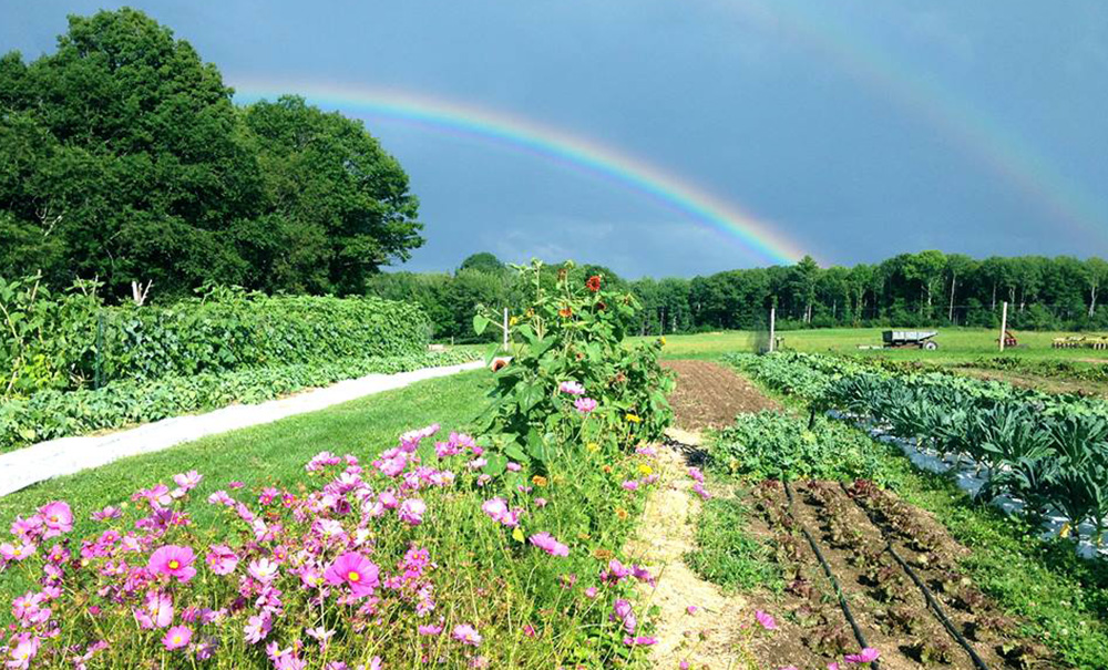 Erikson Field Inset img 10360396 1000x605