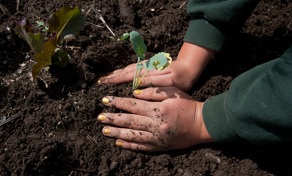 Erikson Field Inset img Erickson Fields Megan 1000x605