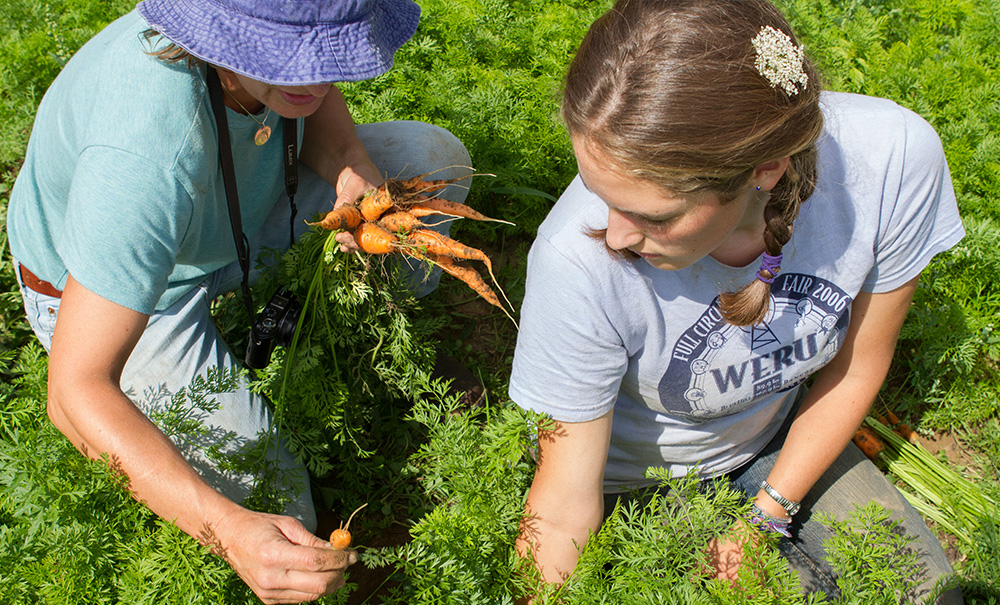 Erikson Field Inset img vanderWyk 18 1000x605