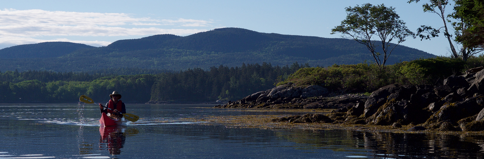 Folly Island Header Img 2000x660