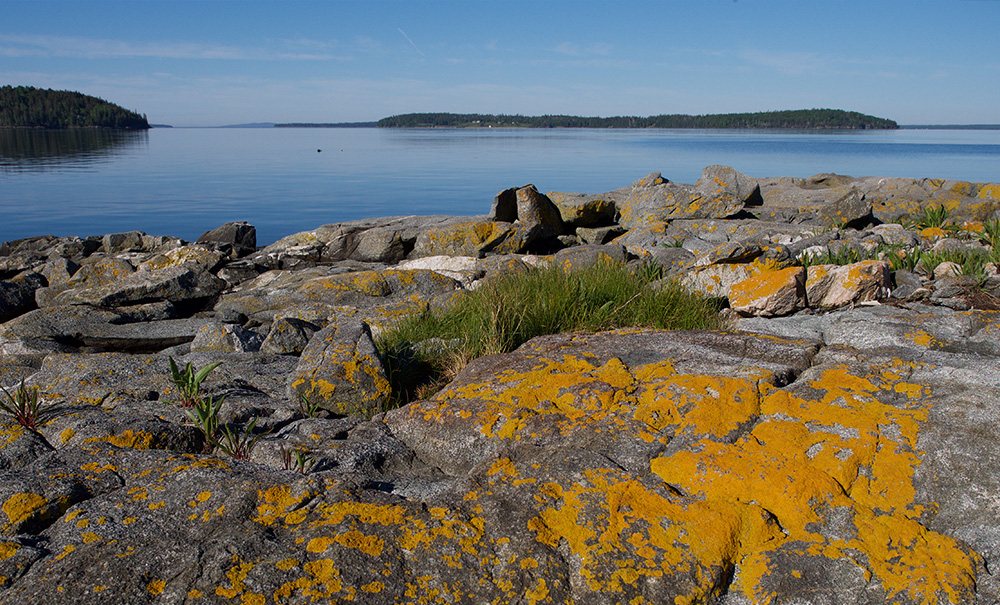 Folly Island Inset img 16 1000x605